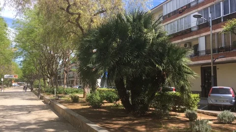 Street in Valencia Stock Footage 108456912