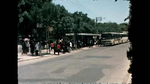 Street Vendors Video stock 278040080