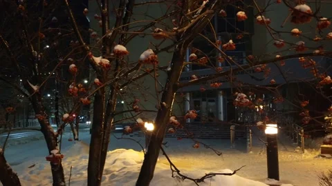 Street view after snowfall illumination Stock Footage 227179967