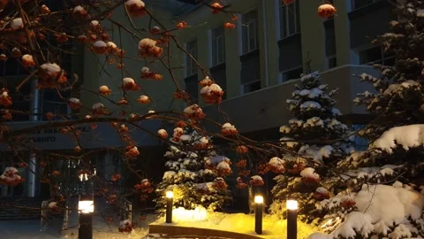 Street view after snowfall illumination Stock Footage 227180142