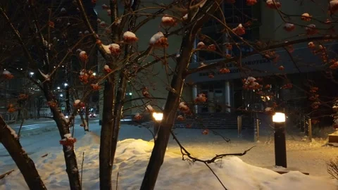 Street view after snowfall illumination Stock Footage 227180152