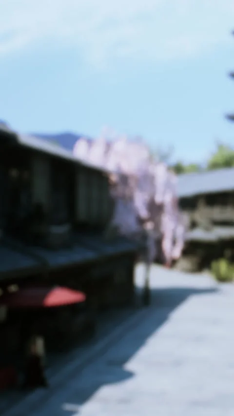 Street view with cherry blossom trees and traditional buildings in spring Stock Footage 338002830