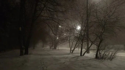 Street view front backyard of the building snowfall Stock Footage 256990043