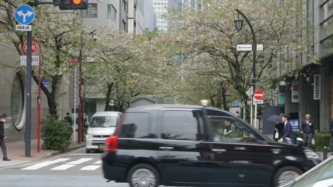 Street view at ginza area with cherry blossom sakura tree on sildewalk stre.. Видео 335580317