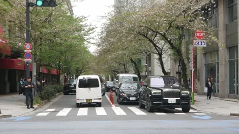 Street view at ginza area with cherry blossom sakura tree on sildewalk stre.. Stock-Footage 340307991