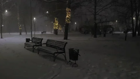Street view snowfall illumination Stock Footage 221948215