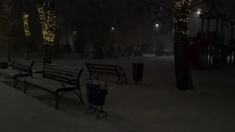Street view snowfall illumination Stock Footage 221949131