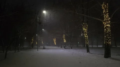 Street view snowfall illumination Stock Footage 221950113