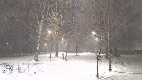 Street view snowfall illumination Stock Footage 221951947