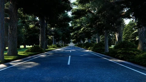 Street View With Tree, animation, 3D Rendering Stock Footage 122249969