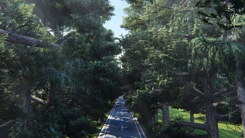 Street View With Tree, animation, 3D Rendering Stock Footage 122250088