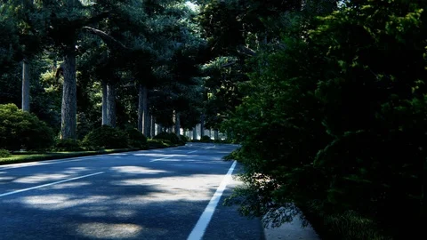 Street View With Tree, animation, 3D Rendering Stock Footage 122250154