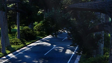Street View With Tree, animation, 3D Rendering Stock Footage 122250161