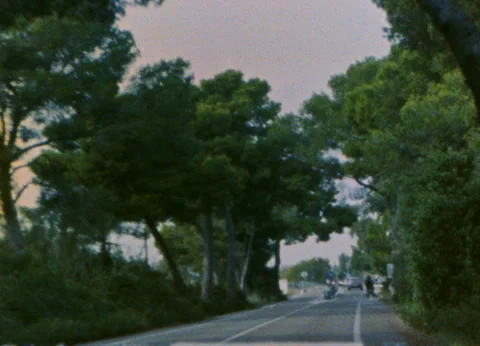 Street view with tree tunnel on 8mm Video stock 332408804