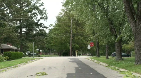 Street view of windstorm Video stock 696047