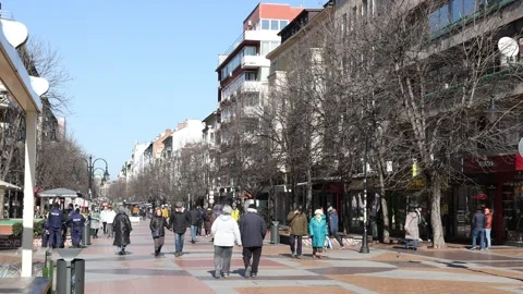 Street in Vitosha district of Sofia, Bulgaria Stock Footage 313458143