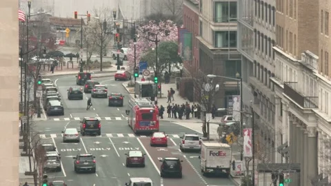 Street in Washington DC Video stock 235926325