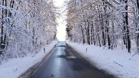 A street in a winter forest video 스톡 동영상 255804313