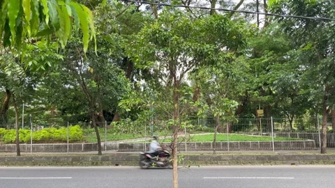 Street2 Stock Footage 274151422