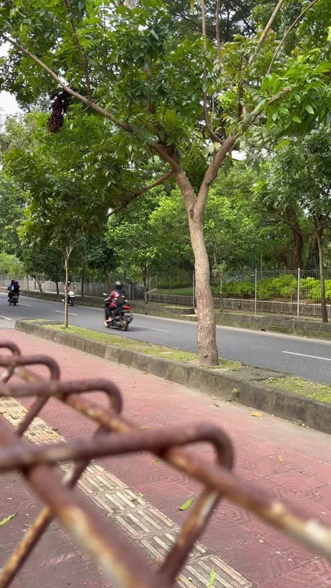 Street4 Stock Footage 274151246