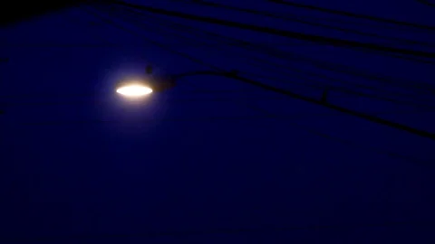 Streetlamp at Dawn 1 Stock Footage 86156324
