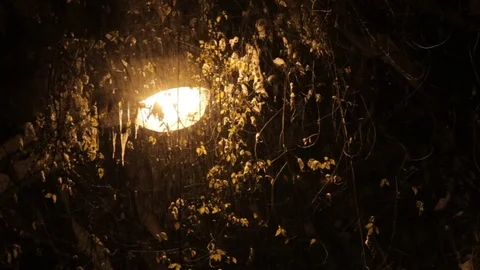 Streetlight during snowfall Video stock 69842940