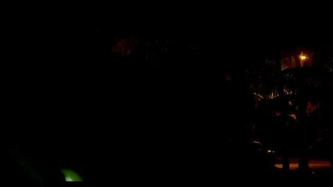 Streetlight by Trees Night time 02 Видео 77165717