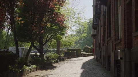 The streets of Brussels, Belgium Stock Footage 94287378