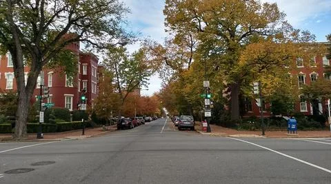 Streets in Fall 스톡 사진