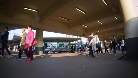 The Streets of Hong Kong 動画素材 74292424