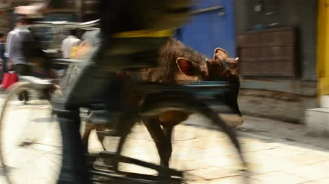 Streets of Kathmandu 11 Stock Footage 22670684