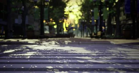 Streets lined with trees and shadows in a quiet urban area during dusk Ilustración de archivo