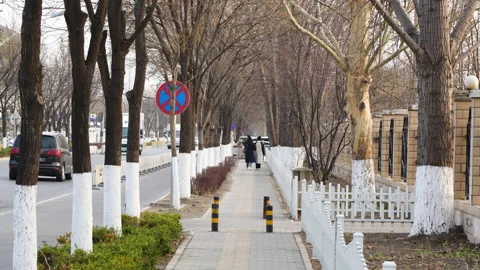 Streets, roads, spring pedestrian roads, people walking towards the distance Stock Footage 239934584