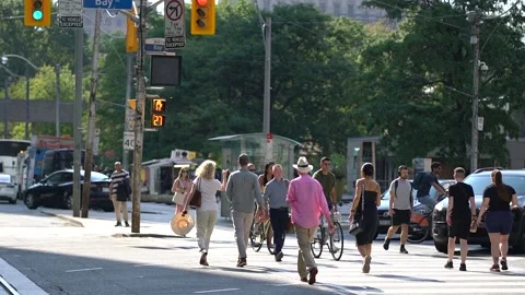 Streetscape Video stock 249702730