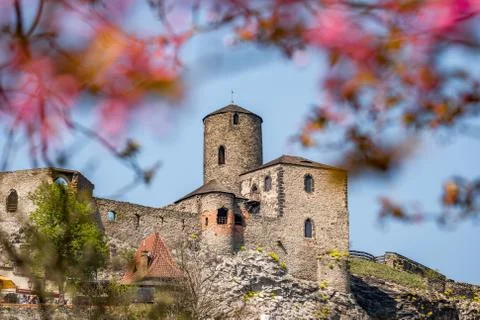 Strekov Castle Stock Photos