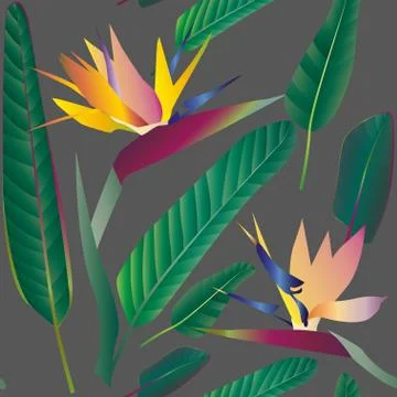 Strelitzia with leaves on a gray background. Seamless pattern.Tr Stock Illustration