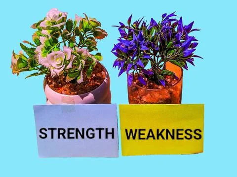 Strength and weakness concept with decorative artificial trees 스톡 사진
