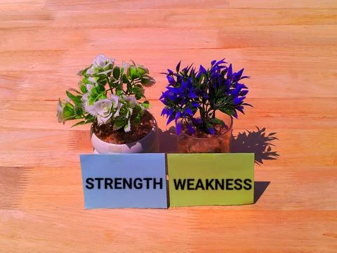 Strength and weakness concept Stock Photos