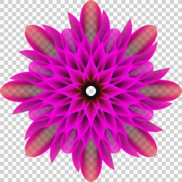 Strength pink flower Illustrazione stock