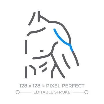 Strength training progress duotone line icon Stock Illustration