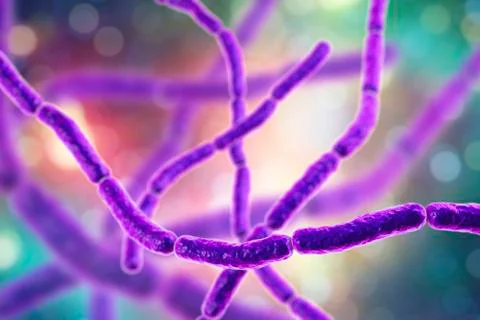 Streptobacillus moniliformis bacteria Stock Illustration