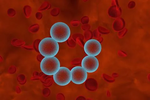 Streptococci bacteria in blood Illustration