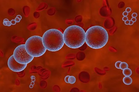 Streptococci bacteria in blood イラスト素材