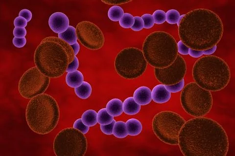 Streptococci bacteria in blood Illustrazione stock