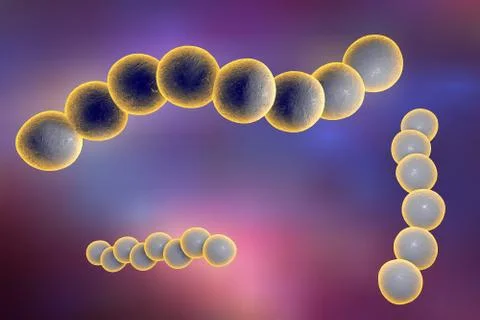 Streptococci bacteria illustration イラスト素材