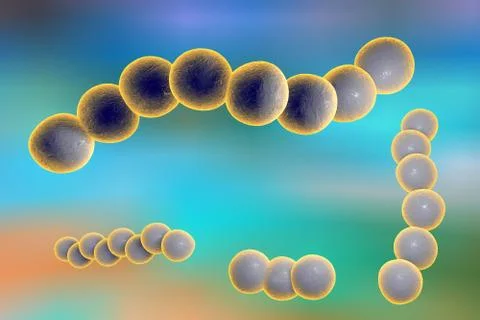Streptococci bacteria illustration Illustrazione stock