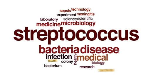 Streptococcus animated word cloud, text design animation. Stock Footage 73001632