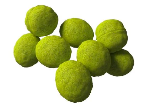Streptococcus, artwork Stock Illustration