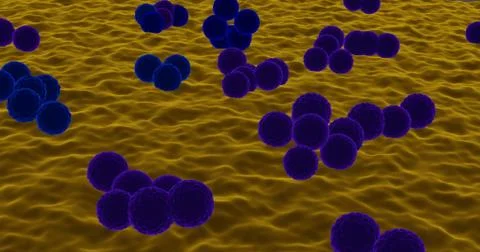 Streptococcus aureus Stock Illustration
