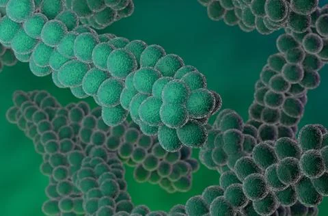 Streptococcus bacteria 3d render illustration closeup Ilustração Stock